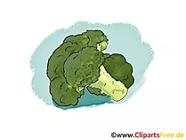 Blumenkohl Illustration, Bild, Clipart gratis