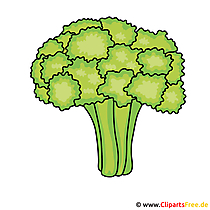 Brokkoli Bild - Clipart