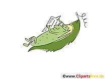 Clipart Erbsen