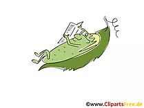 Clipart Erbsen