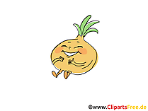 Clipart Zwiebel