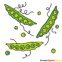 Erbsen Bild Clipart Grafik
