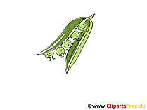 Erbsen Clip Art, Illustration, Bild, Cartoon
