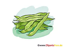 Erbsen Illustration, Bild, Clipart gratis