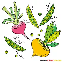 Gemüse Bild - Clipart