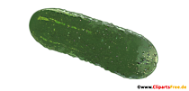 Grüne Gurke Clipart - Gemüse Bilder kostenlos