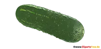 Grüne Gurke Clipart - Gemüse Bilder kostenlos