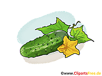 Gurke Bild, Illustration, Clipart
