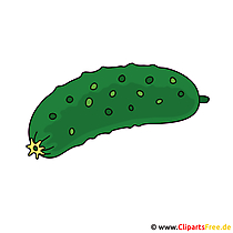 Gurke Clipart Bild Grafik