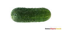 Gurke PNG-Bild - Gemüse Bilder kostenlos
