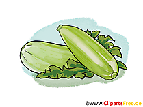 Zucchini Illustration, Bild, Clipart gratis