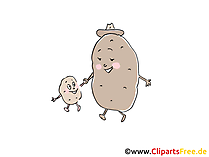 Kartoffeln Cartoon, Clipart, Illustration