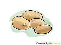 Kartoffeln, Ernte Clipart, Illustration, Bild