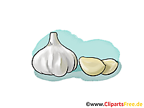 Knoblauch Bild, Illustration, Clipart, Grafik