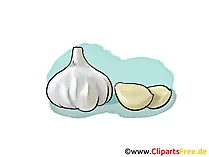 Knoblauch Bild, Illustration, Clipart, Grafik