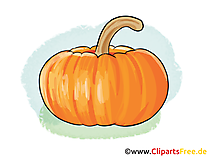 Kürbis Illustration free, Bild, Clipart