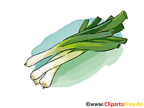 Lauch Bild, Illustrtaion, Clipart