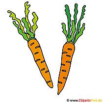 Möhren Bild Clipart Grafik