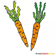 Möhren Bild Clipart Grafik