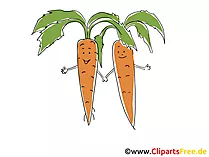 Möhren Clip Art, Illustration, Bild, Cartoon