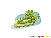 Petersilie Illustration, Bild, Clipart gratis