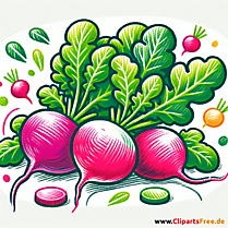 Radieschen Clipart