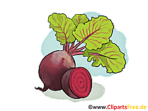 Rote Bete Clipart, Bild, Illustration