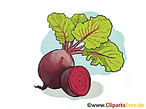Rote Bete Clipart, Bild, Illustration