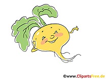 Rübe Clip Art, Illustration, Bild, Cartoon
