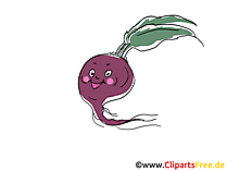 Rübe Clipart