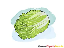 Salat Bild, Illustration, Cliparts