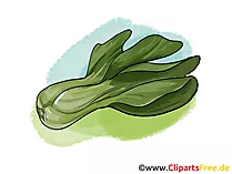 Salat Illustration, Bild, Clipart gratis