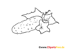 Schwarz-weiss Clipart Gurke