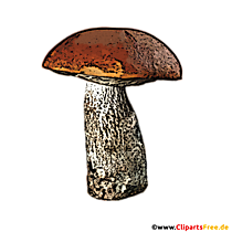 Steinpilz Clipart, Illustration PNG