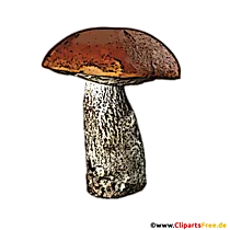Steinpilz Clipart, Illustration PNG
