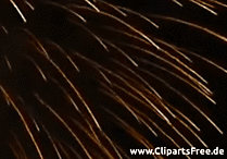 19 Feuerwerk Gif Animationen Cliparts Bilder Grafiken Kostenlos Gif Png Jpg