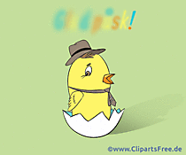 Küken in Eierschale Grusskarte zu Ostern auf Schwedisch