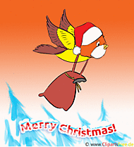 Gif Bilder lustig zu Weihnachten