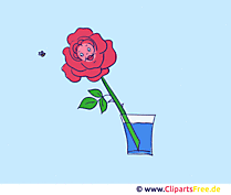 GIF-Animation Rose