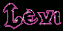 Levi Jungenvorname - Glitzernamen animiert