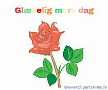 Красивая открытка на День матери на датском языке