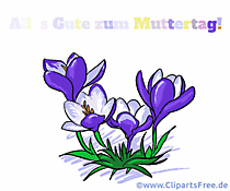 e-Card zum Muttertag mit schönen Blumen