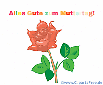 Schöne Rose zum Muttertag zum Teilen in sozialen Netzwerken