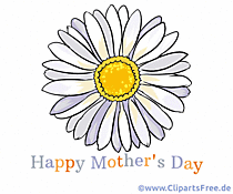 Chamomile for Mother's Day greeting card in English