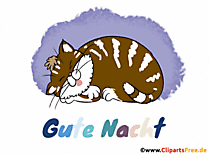Schlafende Katze Gif-Bild