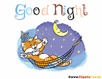 Gif Gute Nacht mit Katze