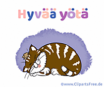 Gute Nacht auf Finnisch Bild zum Teilen in Sozialen Netzwerken