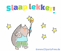 Gute Nacht auf Niederländisch Bild online teilen