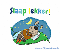 Gute Nacht auf Niederländisch Grusskarte