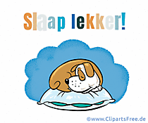 Gute Nacht Grußkarte in Niederländischer Sprache